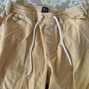 BDG Urban Outfitters Cargo pants